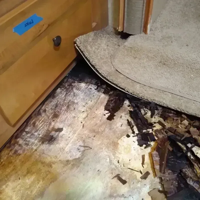 Wood Floor Water Damage in Florence County, SC